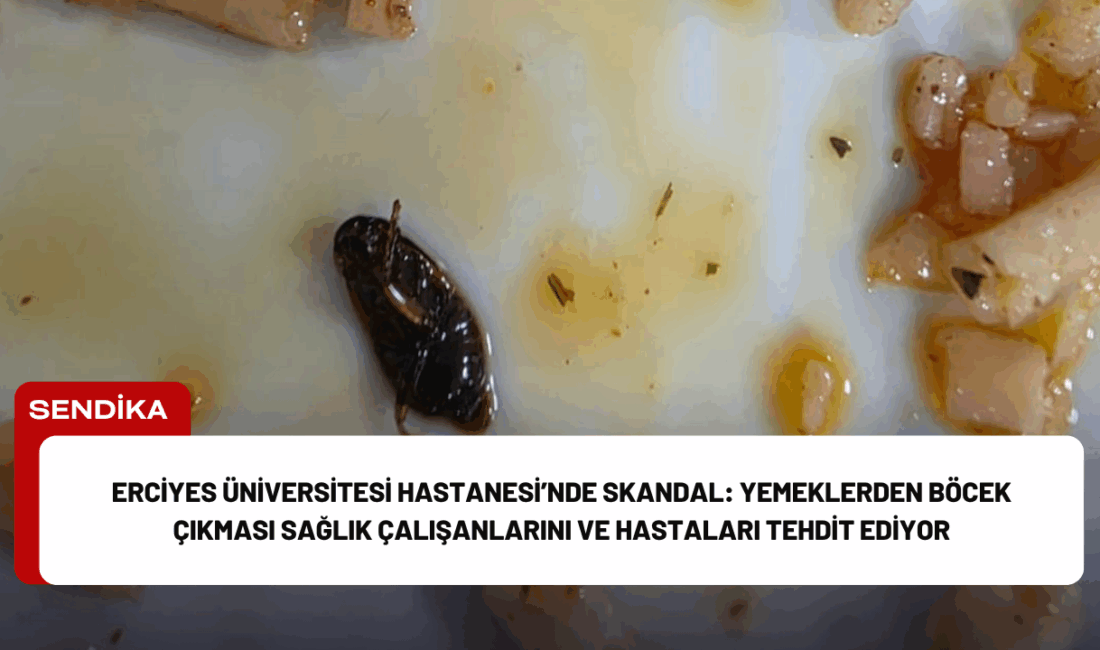 Erciyes Üniversitesi Hastanesi’nde yemeklerde böcek ve insan sağlığını tehdit edecek