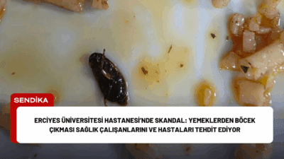 Erciyes Üniversitesi Hastanesi’nde yemeklerde böcek ve insan sağlığını tehdit edecek