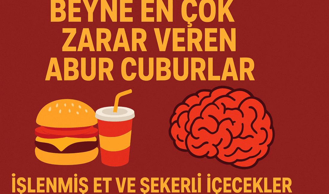 Virginia Tech Üniversitesi’nden bilim insanları, beyin sağlığına en fazla zarar