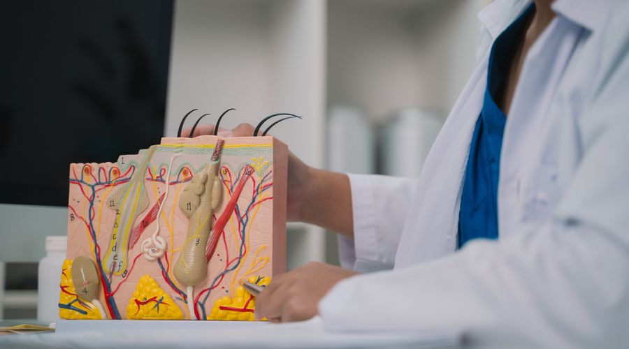 Ağustos 2025 Tıpta Uzmanlık Sınavı (TUS) sonuçları, genç hekimlerin uzmanlık