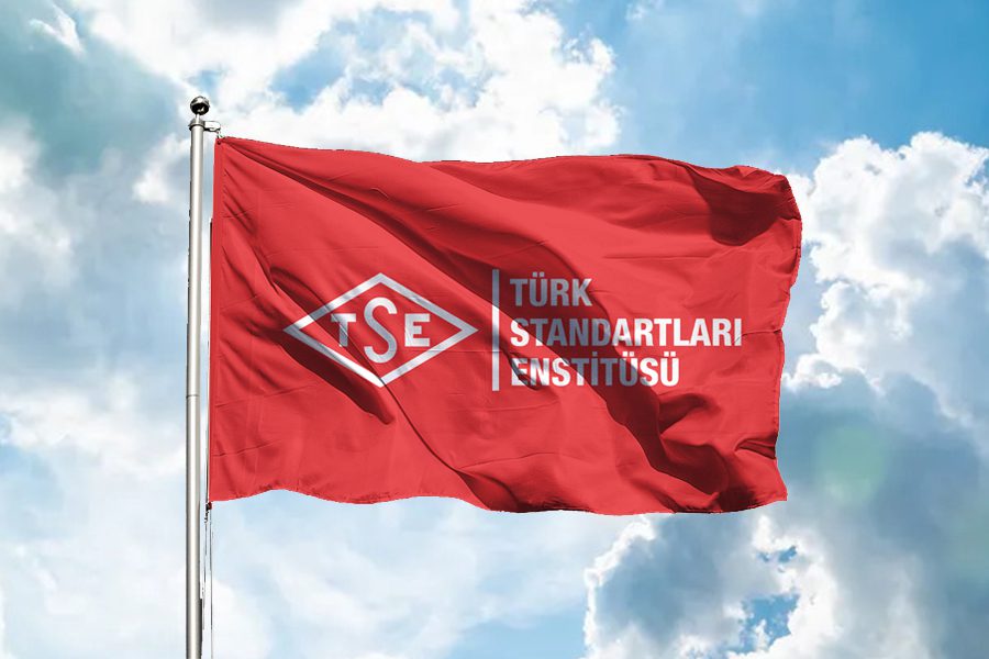 Türk Standardları Enstitüsü (TSE), Bilgi İşlem Dairesi Başkanlığı bünyesinde görevlendirilmek