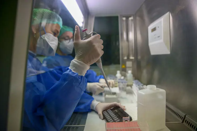 Dünya Sağlık Örgütü (WHO), tüberkülozun 2024 yılında dünya genelinde 1,23