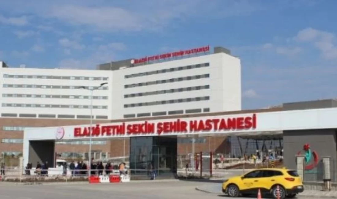 Elazığ Fethi Sekin Şehir Hastanesi’nin acil servisinde görev yapan bir