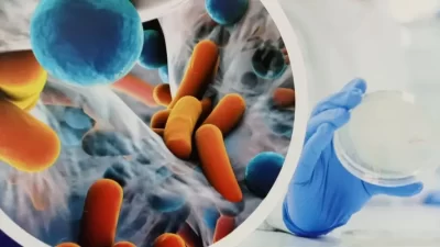 Avrupa genelinde antibiyotiğe dirençli bakterilerin yol açtığı kan dolaşımı enfeksiyonlarının,