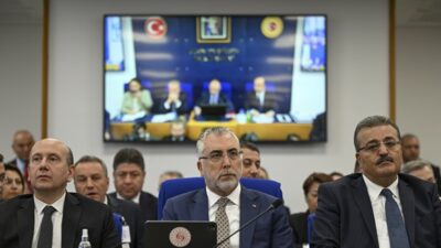 Çalışma ve Sosyal Güvenlik Bakanı Vedat Işıkhan, TBMM Plan ve