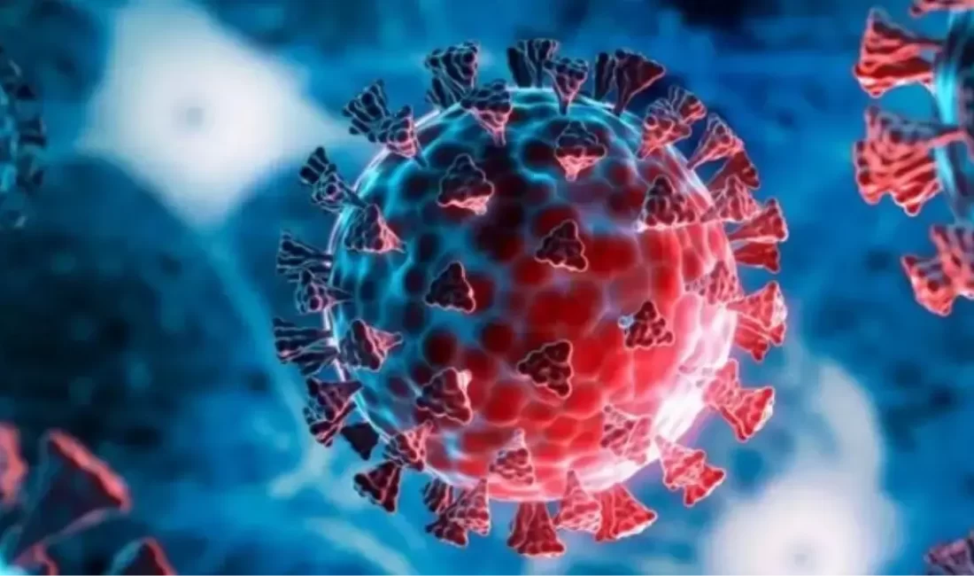 Küresel sağlık otoriteleri, haziran ayında ortaya çıkan yeni H3N2 varyantının