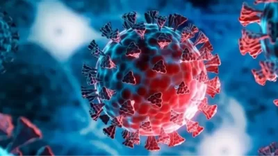 Küresel sağlık otoriteleri, haziran ayında ortaya çıkan yeni H3N2 varyantının