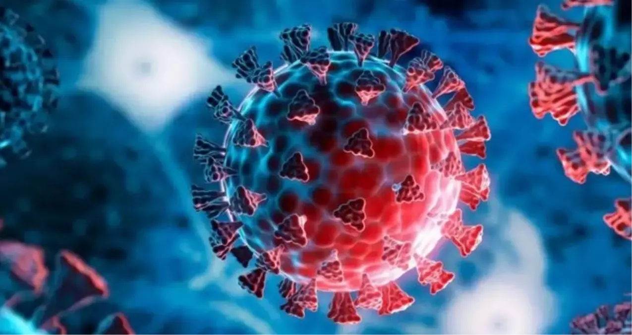 Genel Sağlık Uyarısı: Kuzey Yarımküre’de Yeni ‘H3N2’ Türü Rekor Hızla Yayılıyor