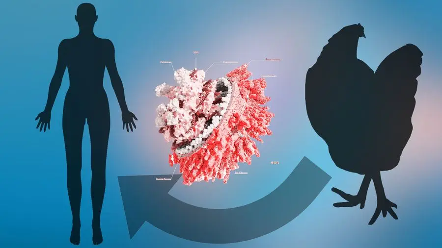 ABD’nin Washington eyaletinde, insanlarda daha önce hiç görülmemiş H5N5 kuş