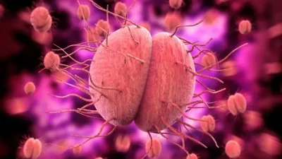 Antibiyotiklere dirençli belsoğukluğu vakaları dünya genelinde hızla artarken, yıllardır beklenen