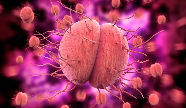 Antibiyotiklere dirençli belsoğukluğu vakaları dünya genelinde hızla artarken, yıllardır beklenen