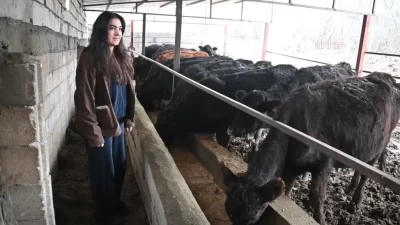 Yozgat’ın Şefaatli ilçesine bağlı Paşaköy’de yaşayan ve iki yıldır atanamayan