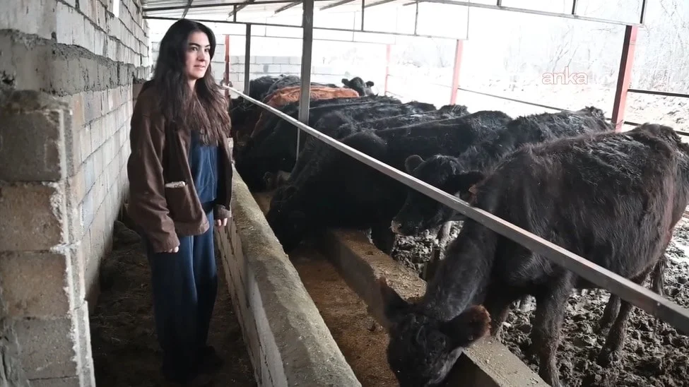 Yozgat’ın Şefaatli ilçesine bağlı Paşaköy’de yaşayan ve iki yıldır atanamayan