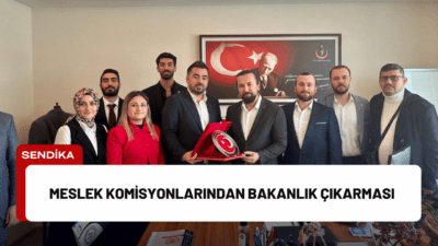 Genç Sağlık Sendikası’na bağlı branş komisyonları, Sağlık Meslekleri Daire Başkanı