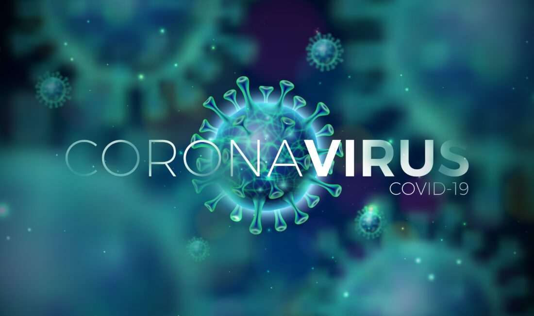 Dünya Sağlık Örgütü (DSÖ) tarafından salgın ilan edilmesinin üzerinden 6