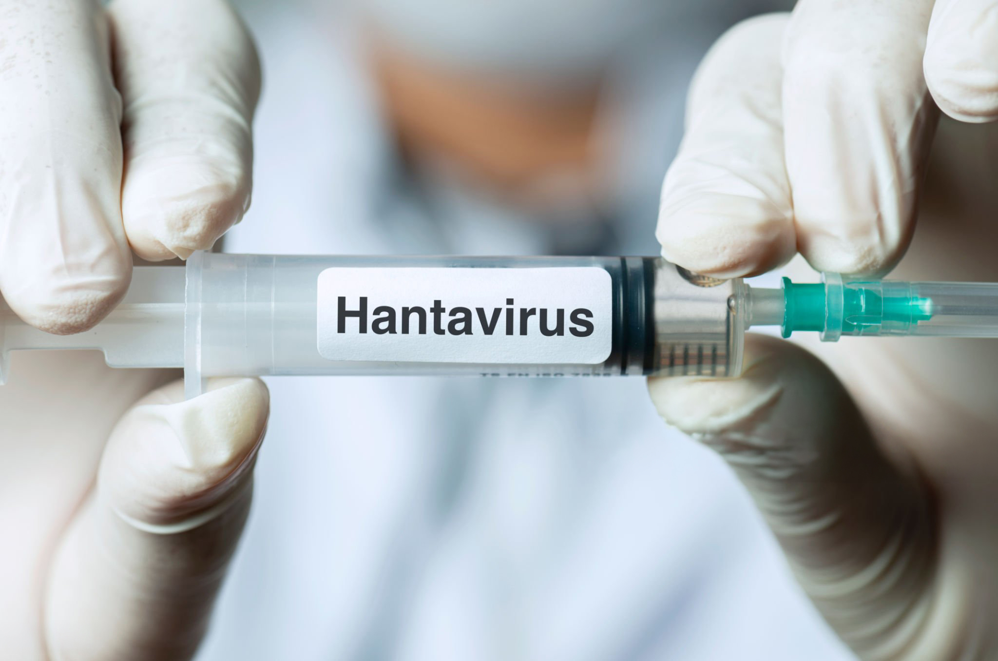 Uzmanlardan "Hantavirüs" Uyarısı: Belirtileri Griple Karıştırılabiliyor