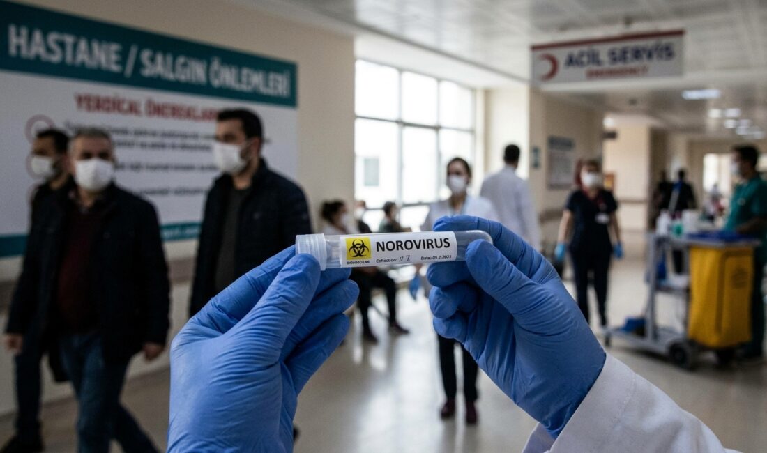 Norovirüs, dünya genelinde akut gastroenteritin, yani mide ve bağırsak iltihabının