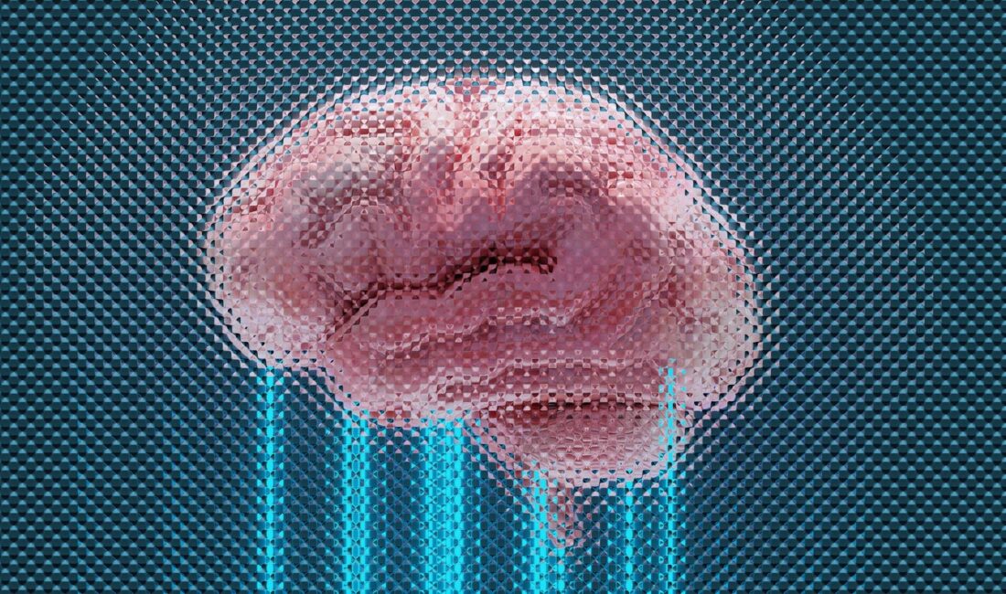 Cortex dergisinde yayımlanan yeni bir araştırmaya göre Alzheimer hastalığı yalnızca