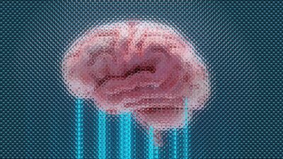 Cortex dergisinde yayımlanan yeni bir araştırmaya göre Alzheimer hastalığı yalnızca