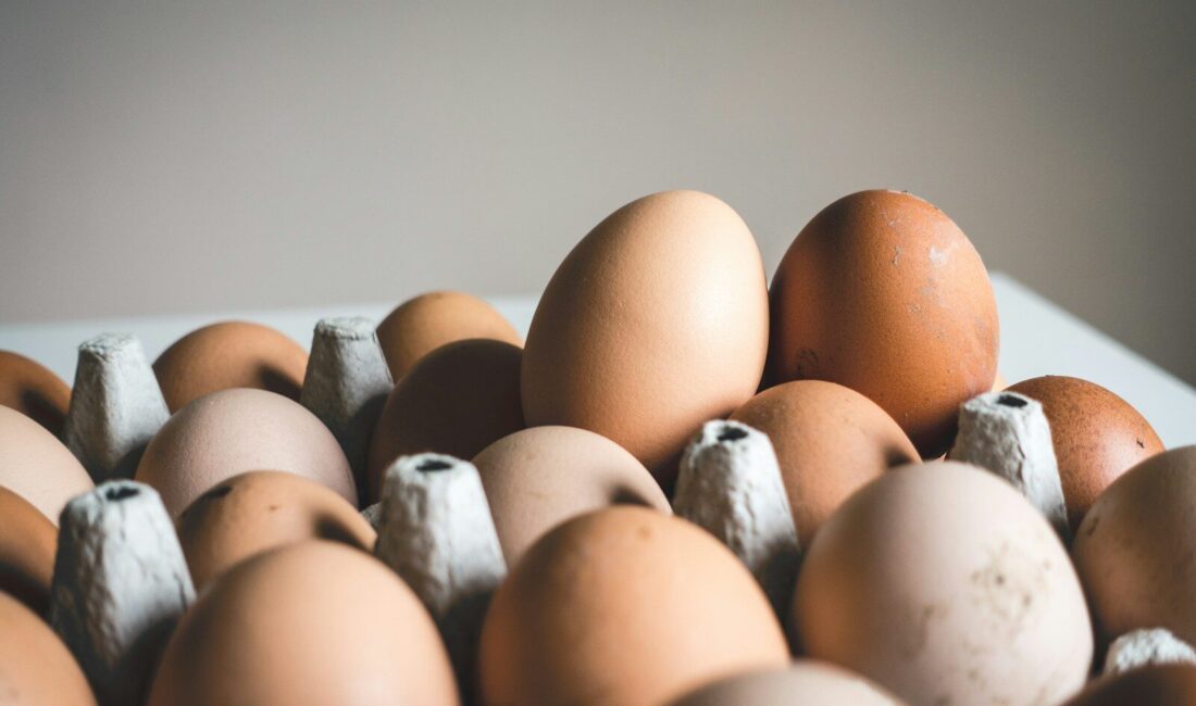 ABD Gıda ve İlaç Dairesi (FDA), salmonella şüphesiyle başlatılan yaklaşık