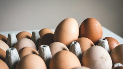 ABD Gıda ve İlaç Dairesi (FDA), salmonella şüphesiyle başlatılan yaklaşık