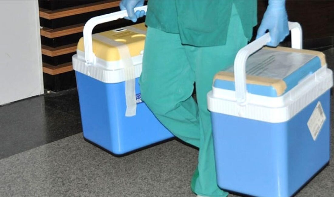 Giresun'da denizde boğulma tehlikesi geçiren ve tedavi gördüğü hastanede beyin