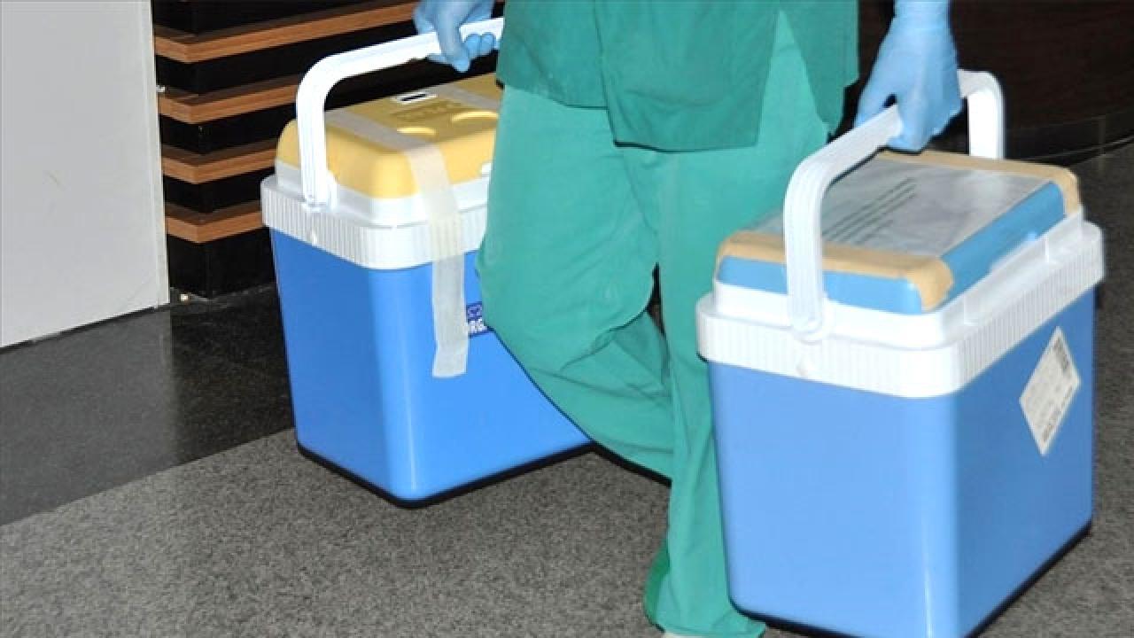 Giresun'da Beyin Ölümü Gerçekleşen Kişinin Organları 4 Hastaya Umut Oldu Giresun'da Beyin Ölümü Gerçekleşen Kişinin Organları 4 Hastaya Umut Oldu