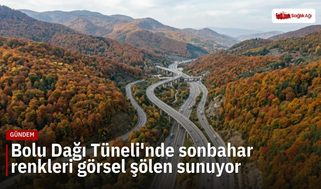 İstanbul-Ankara arasındaki Bolu Dağı Tüneli, sonbaharla sarı ve turuncu tonlara