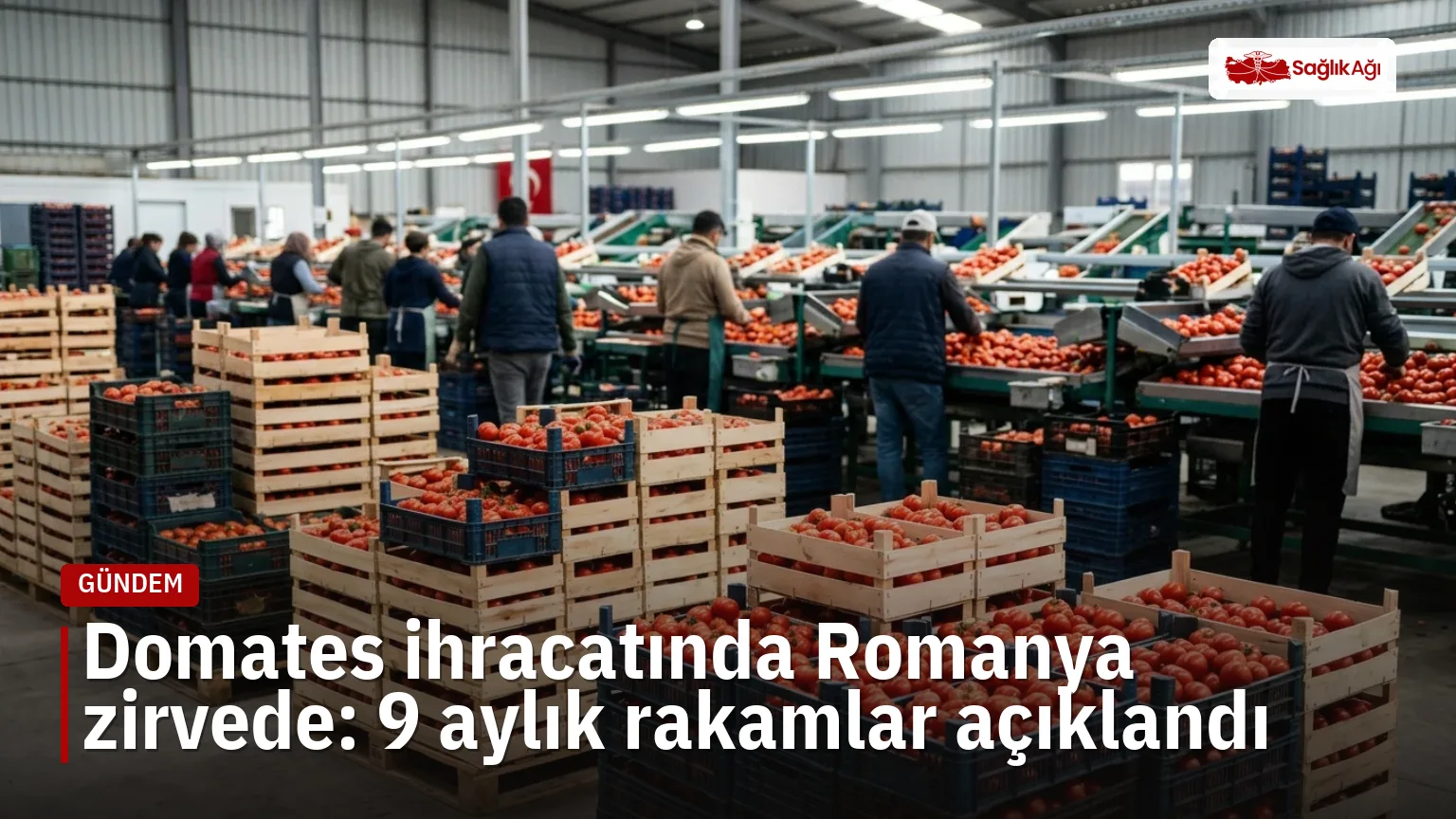 Türkiye'nin domates ihracatı ocak-eylül döneminde yüzde 4,19 artarak 304 milyon